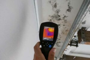 Certified Mold Inspectors | Privately Owned and Operated