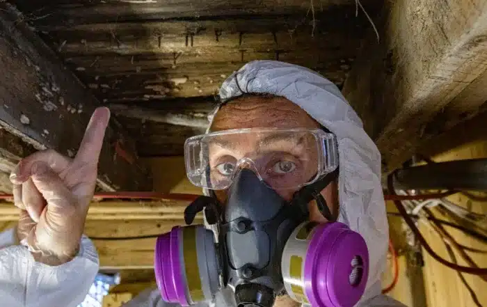 Home Inspectors Near Me_ The Importance of Mold _ Radon Testing in Connecticut