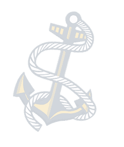 Illustration of a gray anchor with a rope wrapped around it, set against a light gray background, symbolizing reliability—perfect for representing Anchor Home Inspection or any CT Home Inspection service.